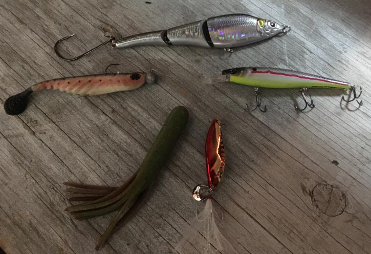 Blog 5 Baits For IceOut Trout